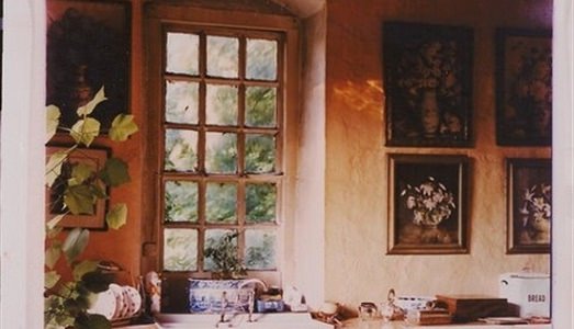 L’intervista/Alice Sachs Zimet